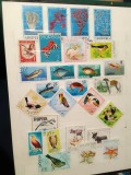 Colecție 35 timbre Albania &ndash; Faună, păsări, animale marine și animale domestice, ștampilate -A40