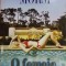 O FEMEIE DE SUCCES-PAMELA MORSI-225386