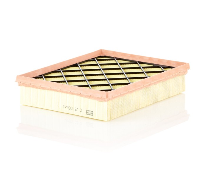 MANN-FILTER C 25 008/1 Filtru aer