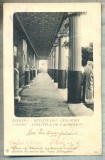 AD 667 C. P. VECHE-CORFOU-PERISTYLE DE...-GRECIA-CIRC1903-IRENE PETRIDES, BRAILA, Circulata, Franta, Printata