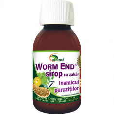 Sirop worm end 100ml star international