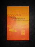 Cumpara ieftin TOM GALLAGHER - FURTUL UNEI NATIUNI. ROMANIA DE LA COMUNISM INCOACE