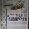 PAGINI DE GLORIE DE LA TISA LA BUDAPESTA (1921) [EDITIE ANASTATICA + 5 HARTI]