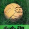 Fotbal cu p&acirc;ine