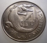 J.207 GAMBIA COLONIE BRITANICA ELIZABETH II 4 SHILLINGS 1966 AUNC