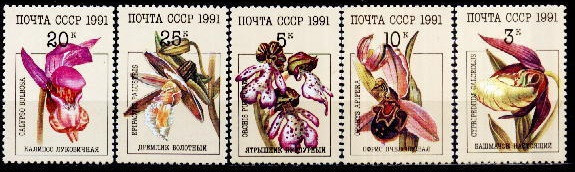 C994 - Rusia 1991 - Flori 5v.neuzat,perfecta stare