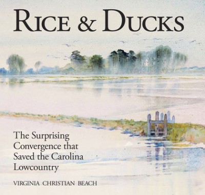Rice &amp;amp; Ducks: The Surprising Convergence That Saved the Carolina Lowcountry foto