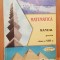 Matematica. Manual pentru clasa a VIII-a de Mihaela Singer, Cristian Voica