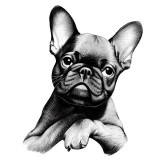 Cumpara ieftin Sticker decorativ Caine Bulldog, Negru, 75 cm, 7825ST, Oem