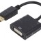 Adaptor DisplayPort la DVI-I