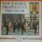 Sub faldul drapelului tricolor - Constantin Ucrain