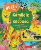 De ce&hellip;? Cămilele au cocoaşă şi alte &icirc;ntrebări despre animale - Paperback brosat - Niculescu