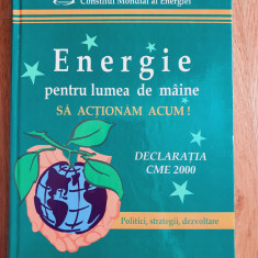 ENERGIE PENTRU LUMEA DE MAINE - Iliescu, Leca