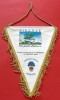 Fanion - Stadionul Comunal ARTEMIO FRANCHI - Florenta 25.05.1994