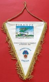 Fanion - Stadionul Comunal ARTEMIO FRANCHI - Florenta 25.05.1994