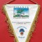Fanion - Stadionul Comunal ARTEMIO FRANCHI - Florenta 25.05.1994