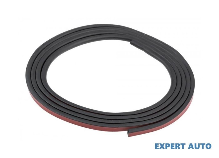 Garnitura capac trapa BMW X6 (2008->) [E71, E72] #1