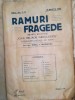 Revista Ramuri Fragede, Liceul Sf. Sava, Bucuresti, 15 Martie 1923, Editie Princeps