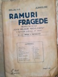 Revista Ramuri Fragede, Liceul Sf. Sava, Bucuresti, 15 Martie 1923, Editie Princeps