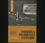 Cumpara ieftin AMERICA OGARULUI CENUȘIU - ROMULUS RUSAN - EDITURA JUNIMEA - REPORTER XX