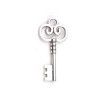 Pandantiv decorativ cheie, 19 x 40 mm Platinum, Crisalida