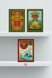 Pachet Jules Verne - Colecția Hetzel (incomplet) - Hardcover - Jules Verne - Litera