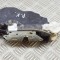 &Icirc;ncuietoare ușă st&acirc;nga față BMW X3 F25 2012 OEM: 7318411 18080954