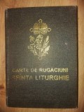 Carte de rugaciuni: Sfinta Liturghie Arhiepiscopia Romano-Catolica 1990