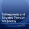 Pathogenesis and Targeted Therapy of Epilepsy