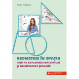 Geometrie in spatiu - Pentru Evaluarea Nationala si olimpiadele scolare - Peligrad Sorin, Paralela 45