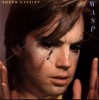 Vinil Shaun Cassidy &ndash; Wasp (-VG), Rock