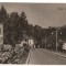 CPIB 22093 - CARTE POSTALA - VEDERE DIN OLANESTI, RPR