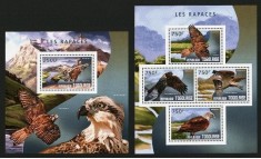 TOGO 2014 FAUNA PASARI DE PRADA foto