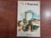 Patima de Mircea Micu