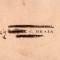 A3133N Carte vizită sublocotenent Aurel C Braia din Regimentul 92 Infanterie de la Orăștie, cca 1919, refolosită de o rudă a sa