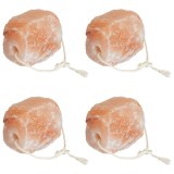 vidaXL Pietre sare de lins 4 buc., roz, sfori animale de fermă, 10 kg