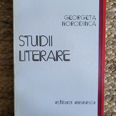 STUDII LITERARE -GEORGETA HORODINCA