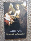 DIN AMINTIRILE UNUI INGER PAZITOR de AMELIA PAVEL , 2002