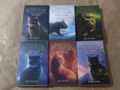 ERIN HUNTER - PISICILE RAZBOINICE ~ ZORII CLANURILOR ~ vol.25 - 30 din ciclu foto