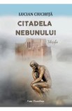 Citadela nebunului - Lucian Ciuchita