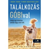 Tal&aacute;lkoz&aacute;s G&oacute;bival, avagy egy kiskutya, akinek nagy sz&iacute;ve volt - Dion Leonard