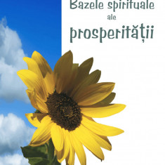 Bazele spirituale ale prosperitatii - roy eygene davis carte