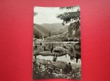 CARTE POSTALA - RSR - LACUL ROSU