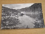 QW24 L - Carte postala - tematica turism - vedere - Lacul Rosu 7, Necirculata, Fotografie, Harghita