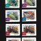 australia mnh