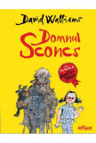 Domnul Sconcs