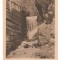 SV * Rodna * VALEA VINULUI * IZVORUL BAILOR * 1925