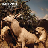 Our Love To Admire | Interpol, capitol records