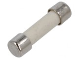 Siguranță Ultra-Rapidă 8A 250V 5x20mm Cupru, SCHURTER