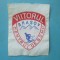 EMBLEMA VIITORUL BRASOV CENTRUL DE SCHI ERA COMUNISTA